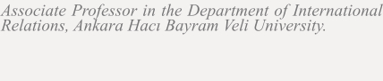 Associate Professor in the Department of International Relations, Ankara Hacı Bayram Veli University.